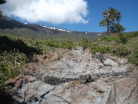 rrente Quarantore-20100606 063